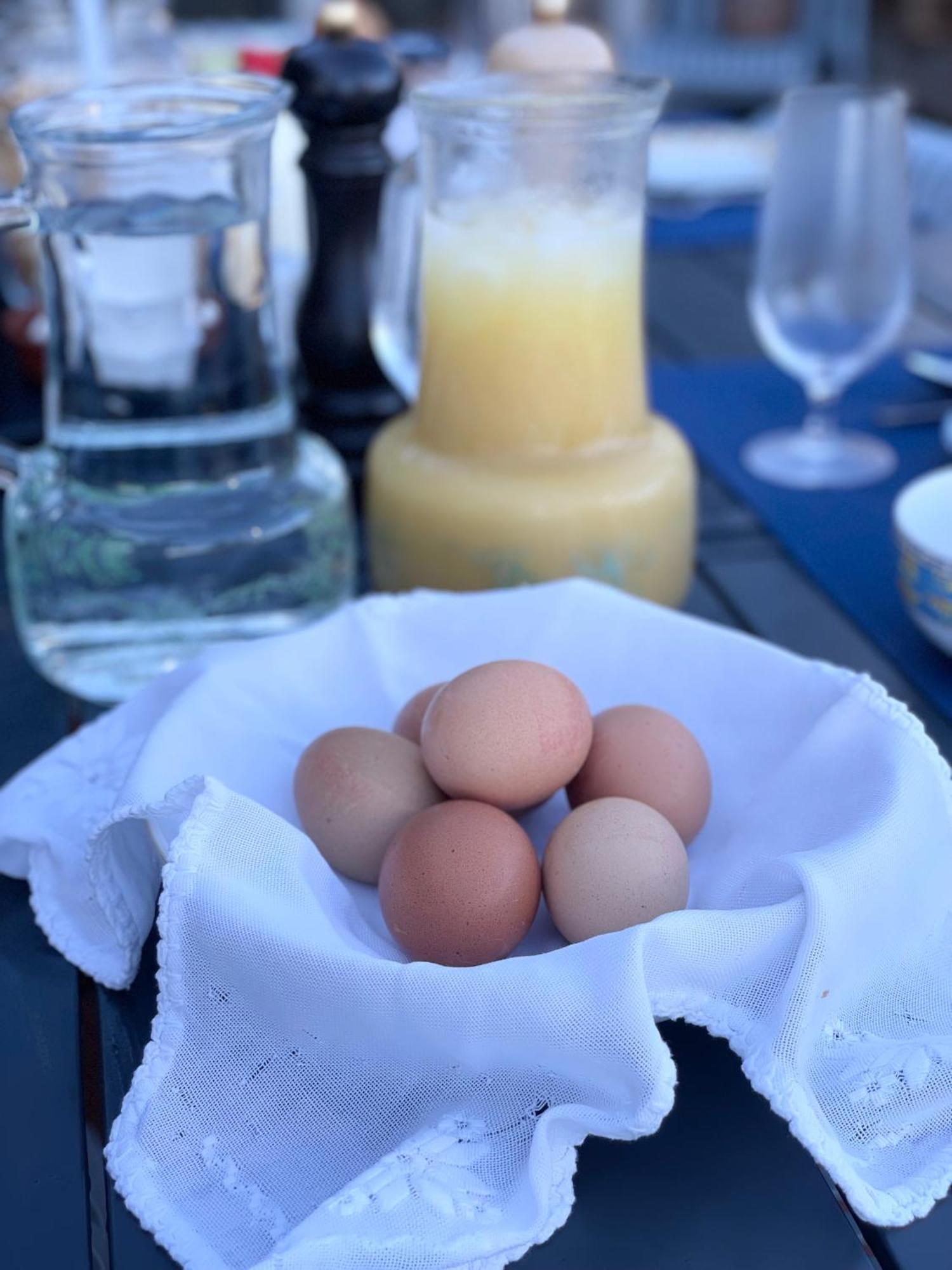 The Quixote House Bed and Breakfast Caminha Esterno foto